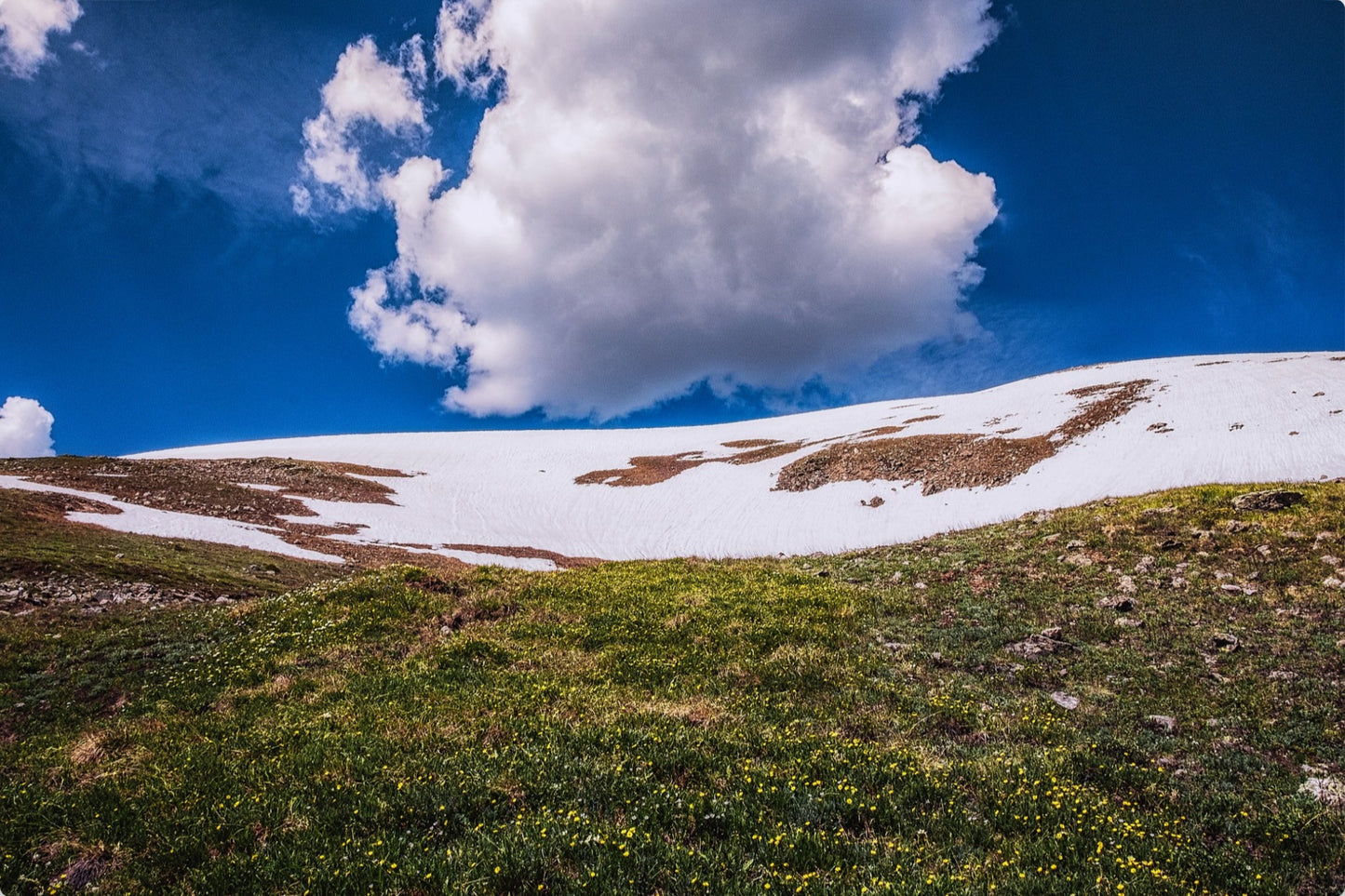 Summer Snow