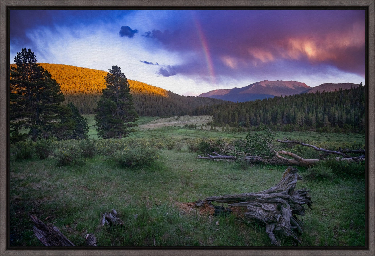 Rainbow on the Mountain III