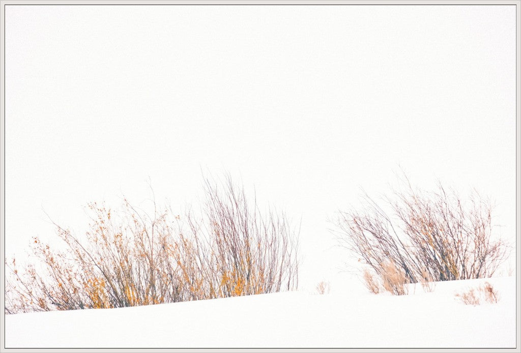 Fire & Snow