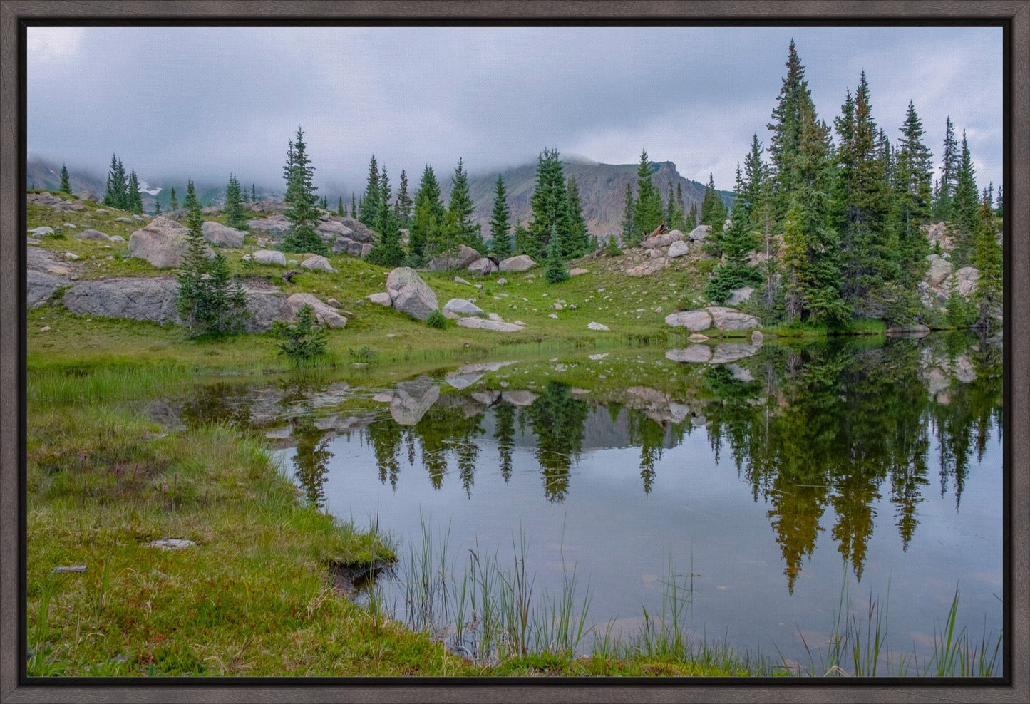 Trail Reflections