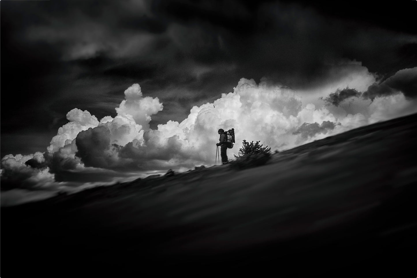 The Hiker