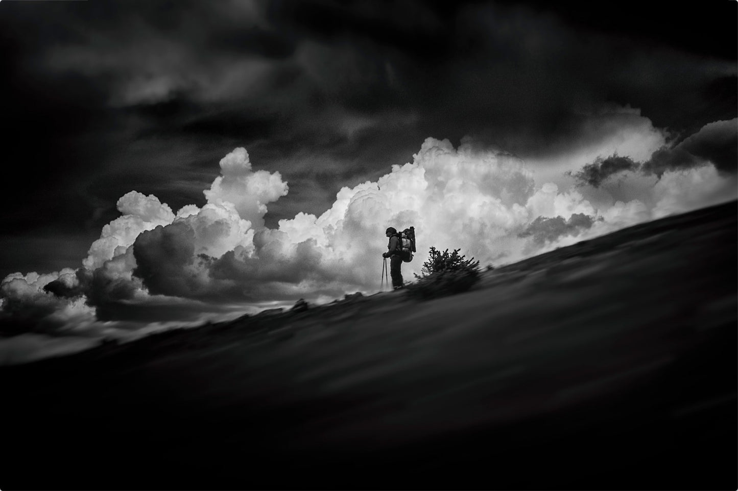 The Hiker