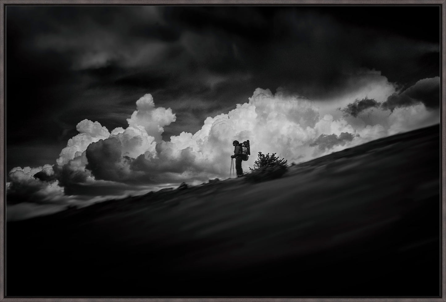 The Hiker