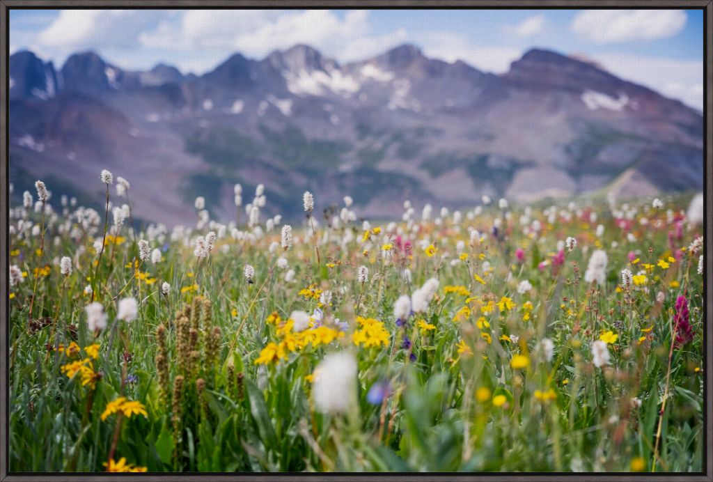 Gold at the End of Indian Trail Ridge