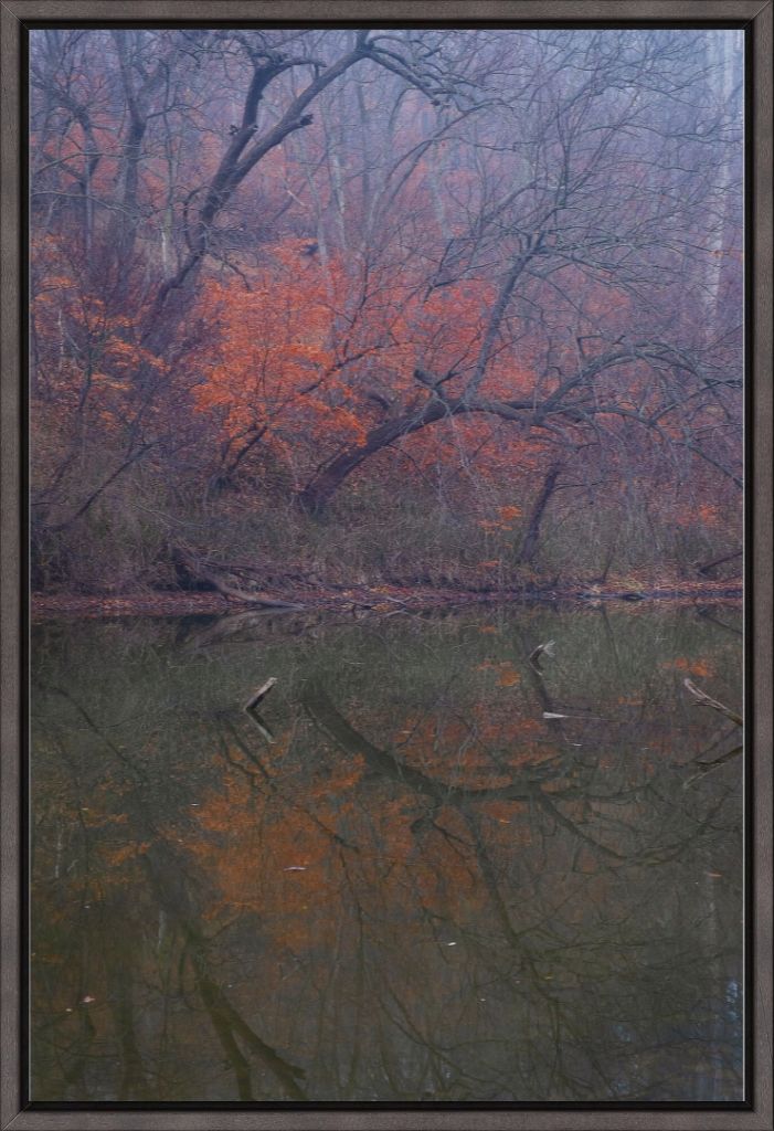 Winter Woodland and Lake Reflections