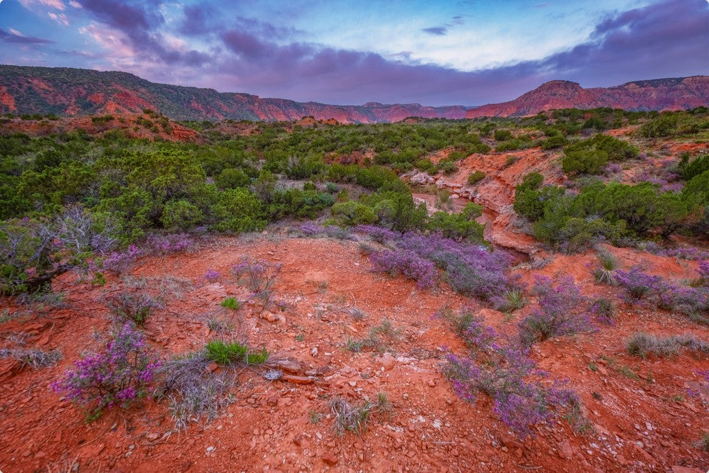 Caprock Sunrise