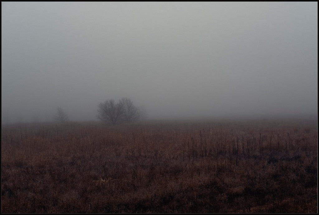 West Texas Winter Fog - 3