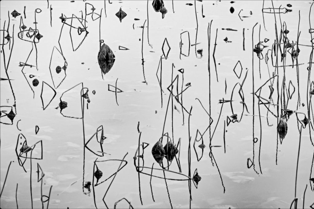 Monochrome Lake Abstract