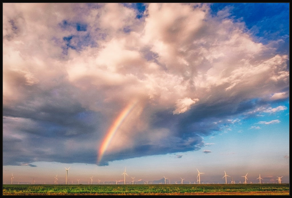West Texas Spring