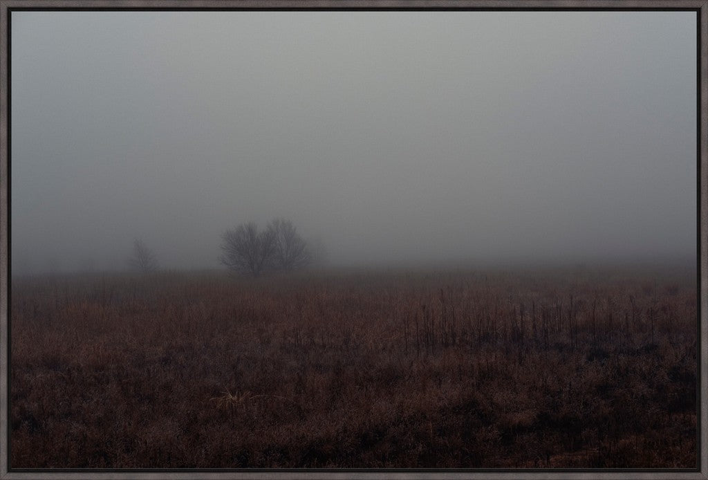 West Texas Winter Fog - 3