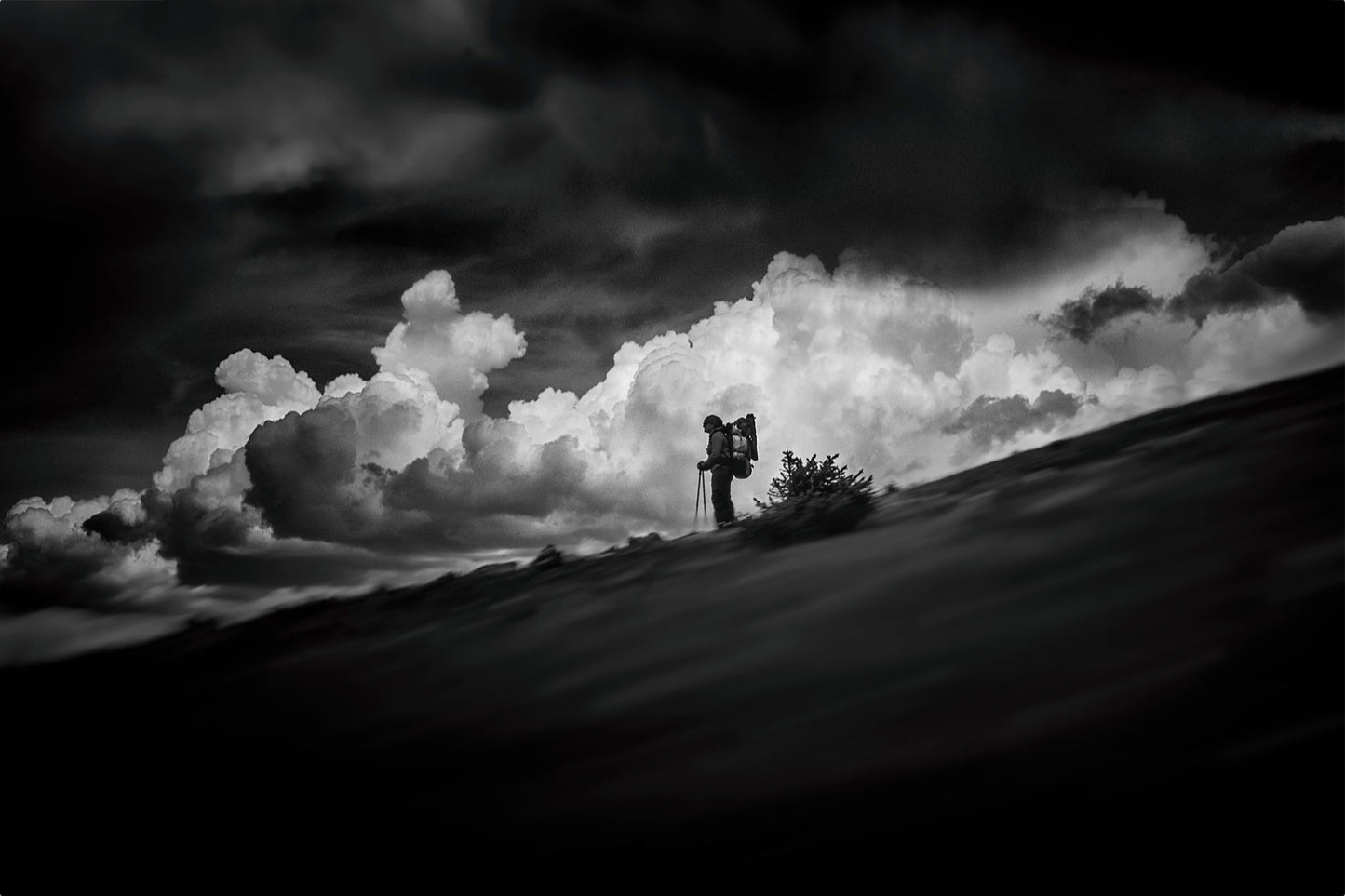 The Hiker
