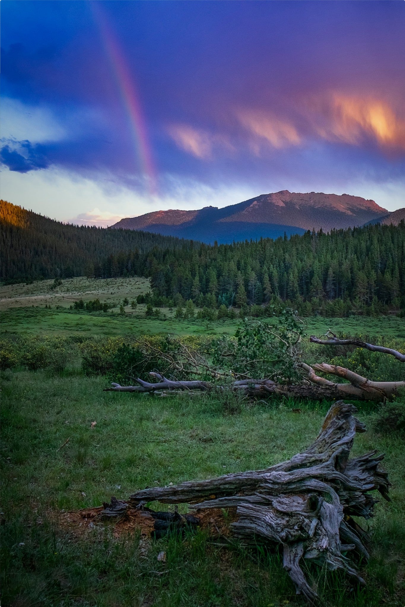 Rainbow on the Mountain IV