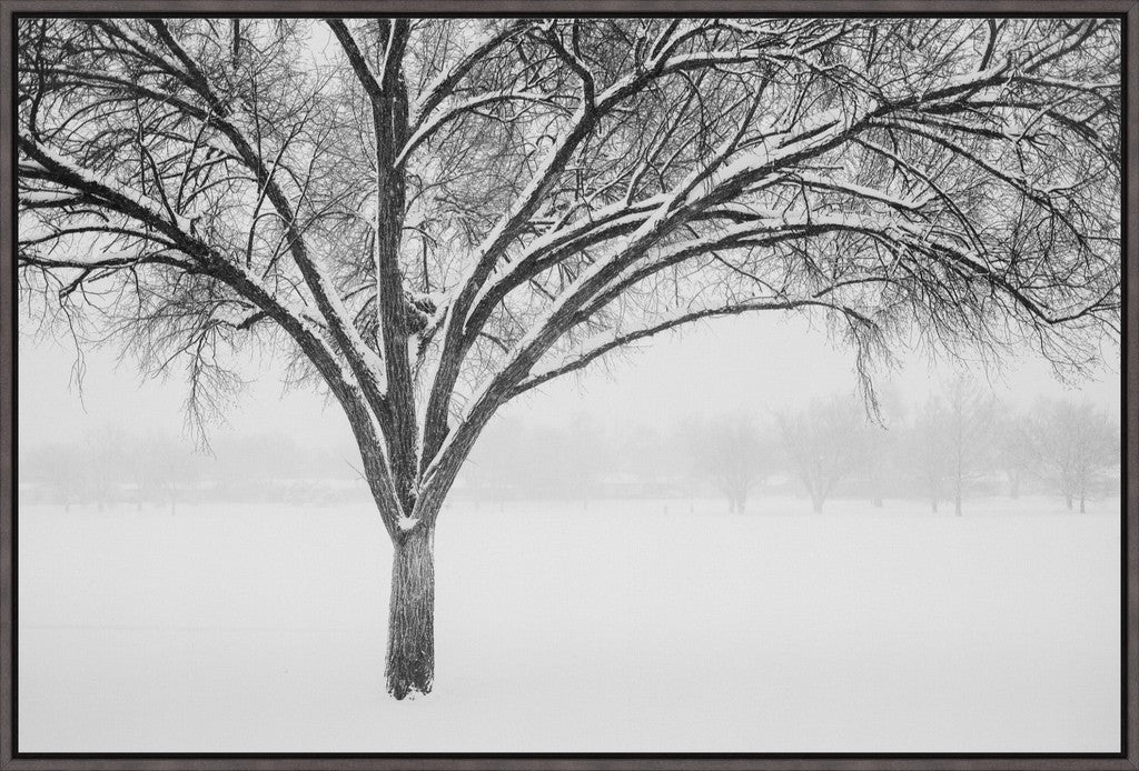 Monochrome Tree in Snow II