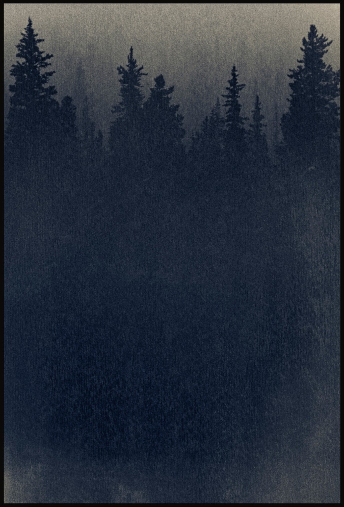 Cyanoforest