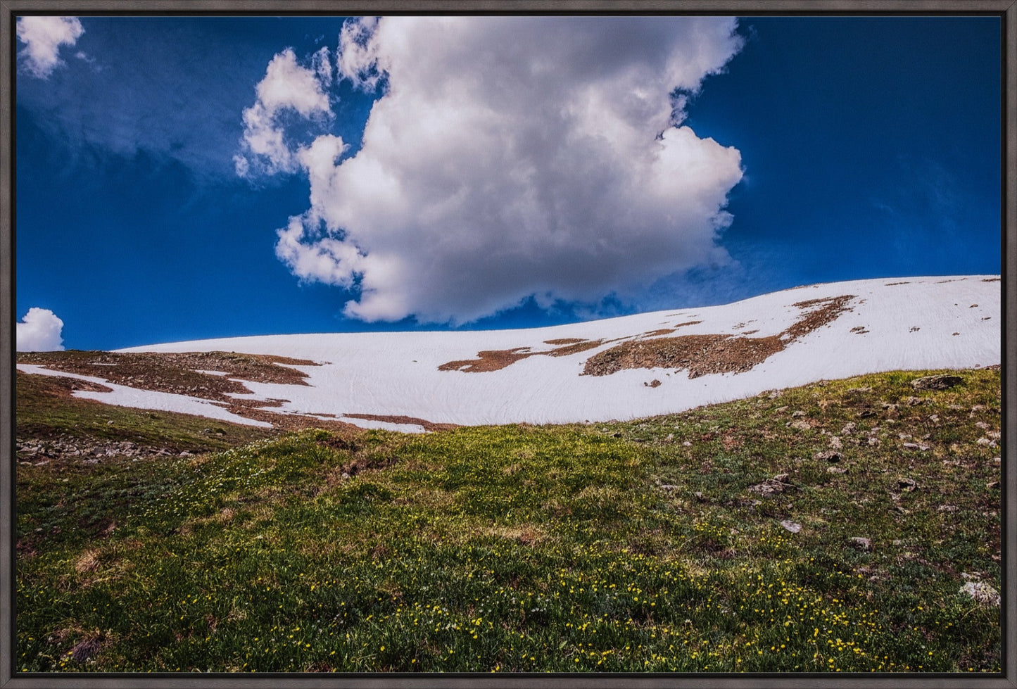 Summer Snow