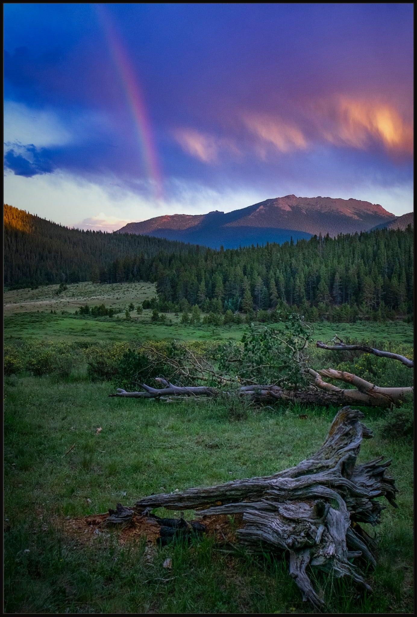 Rainbow on the Mountain IV