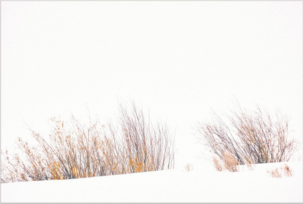 Fire & Snow