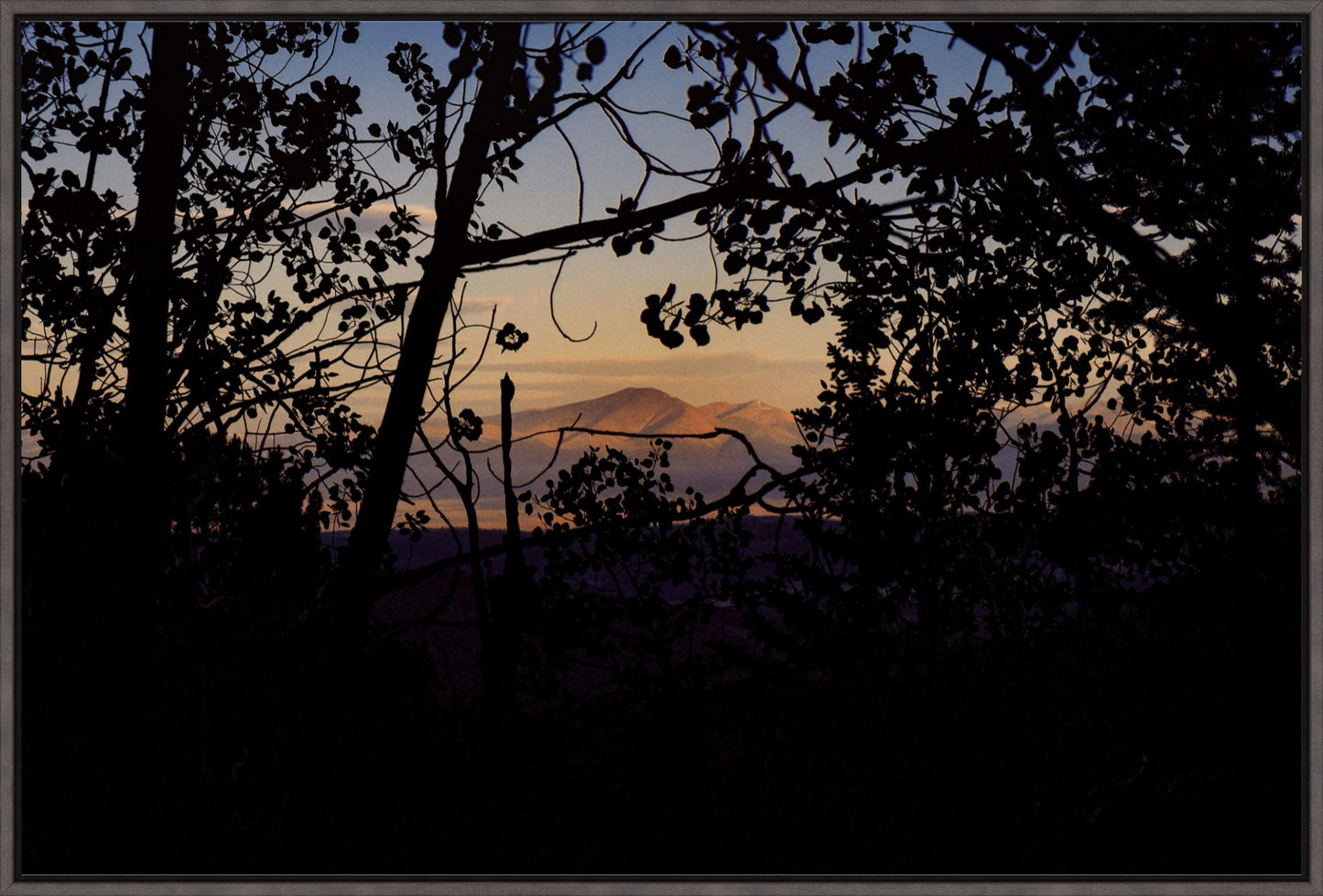 Afternoon Golden Light