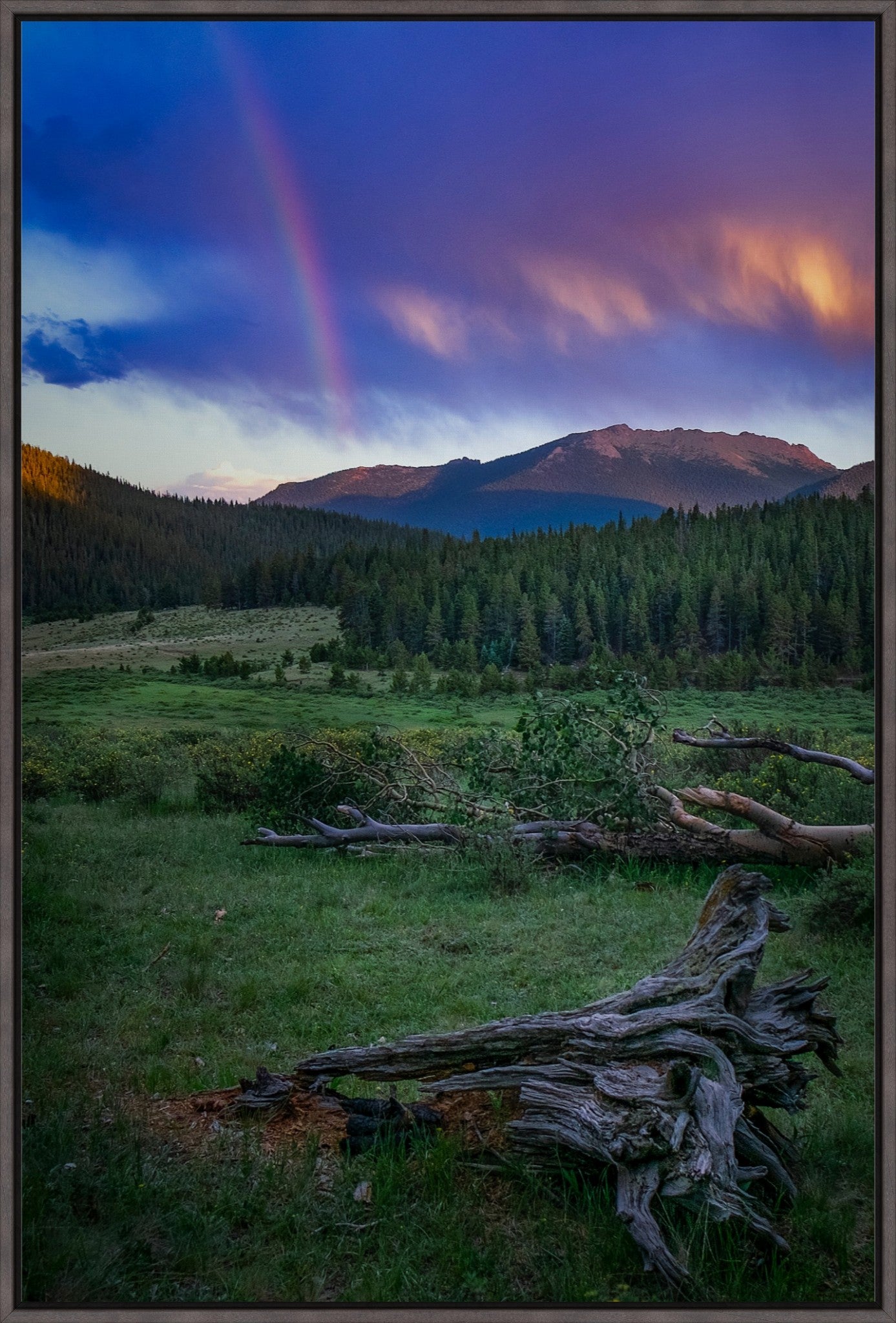 Rainbow on the Mountain IV