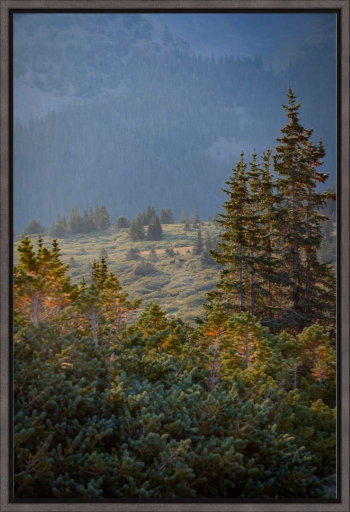 Moose Sunrise Vertical