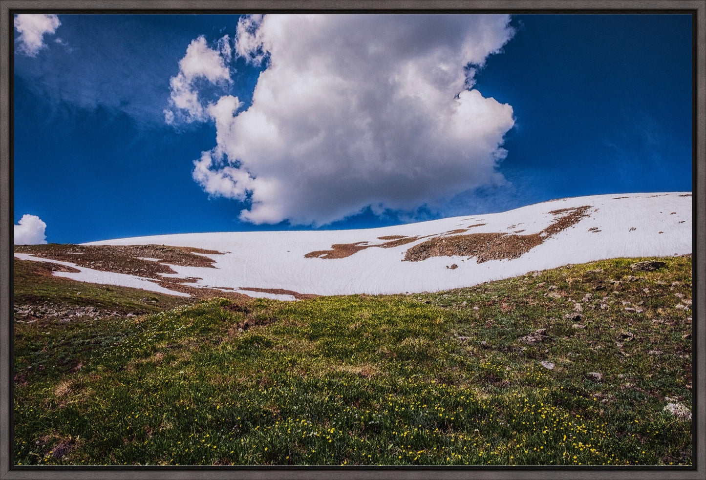 Summer Snow