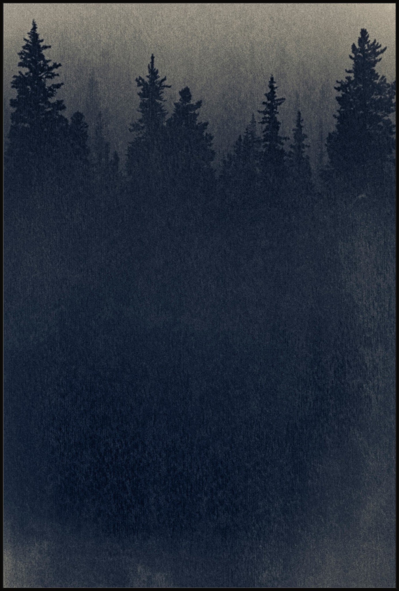 Cyanoforest