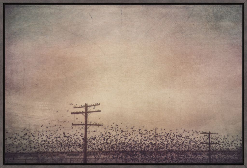 Winter Birds