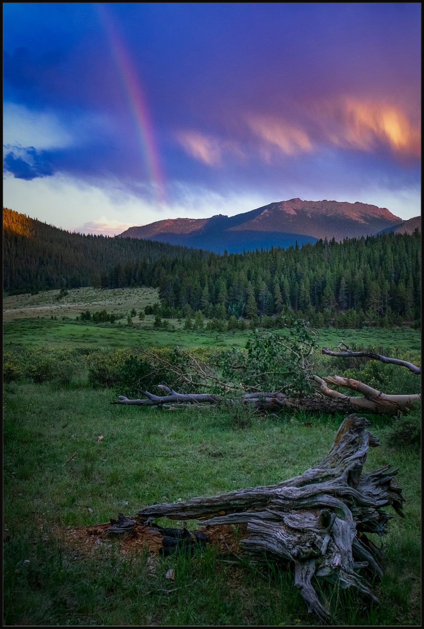 Rainbow on the Mountain IV