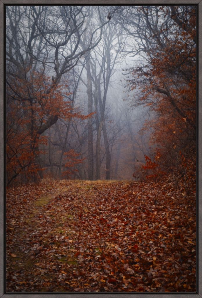 NWMO FOG 03