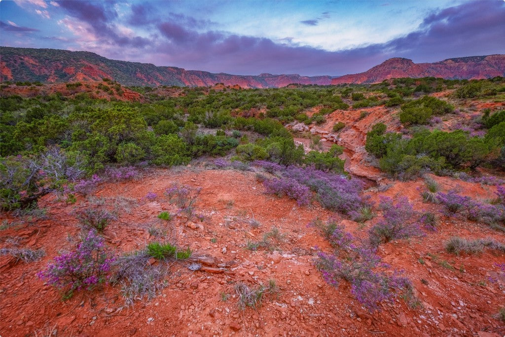 Caprock Sunrise