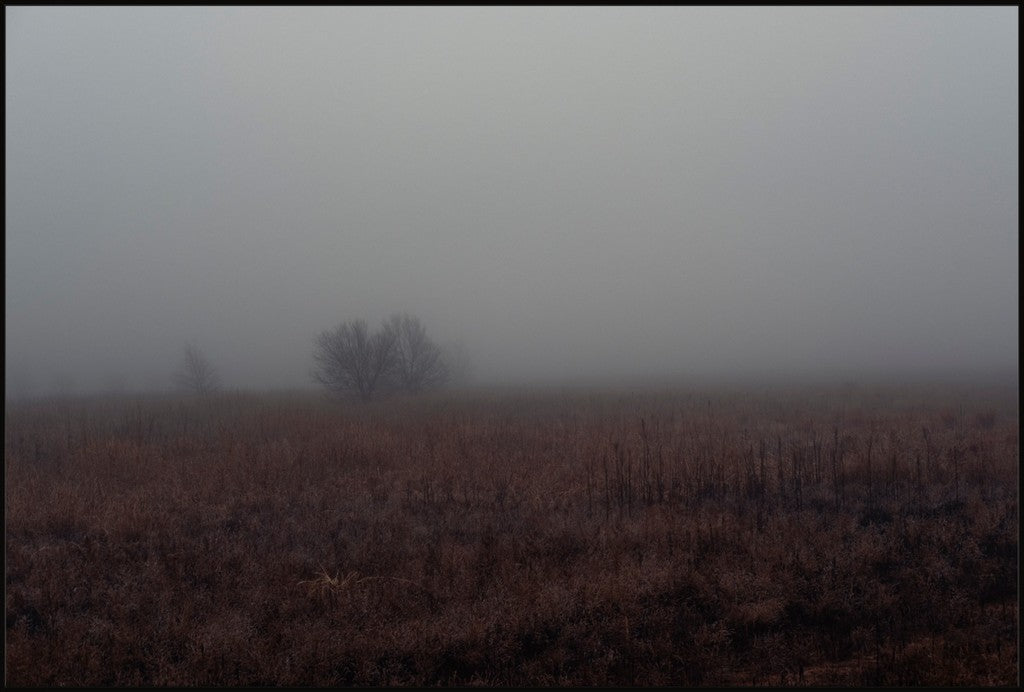West Texas Winter Fog - 3