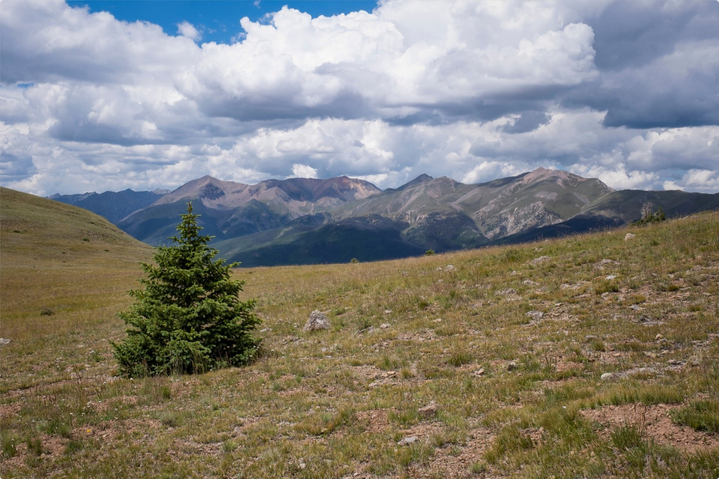 Evergreen Views