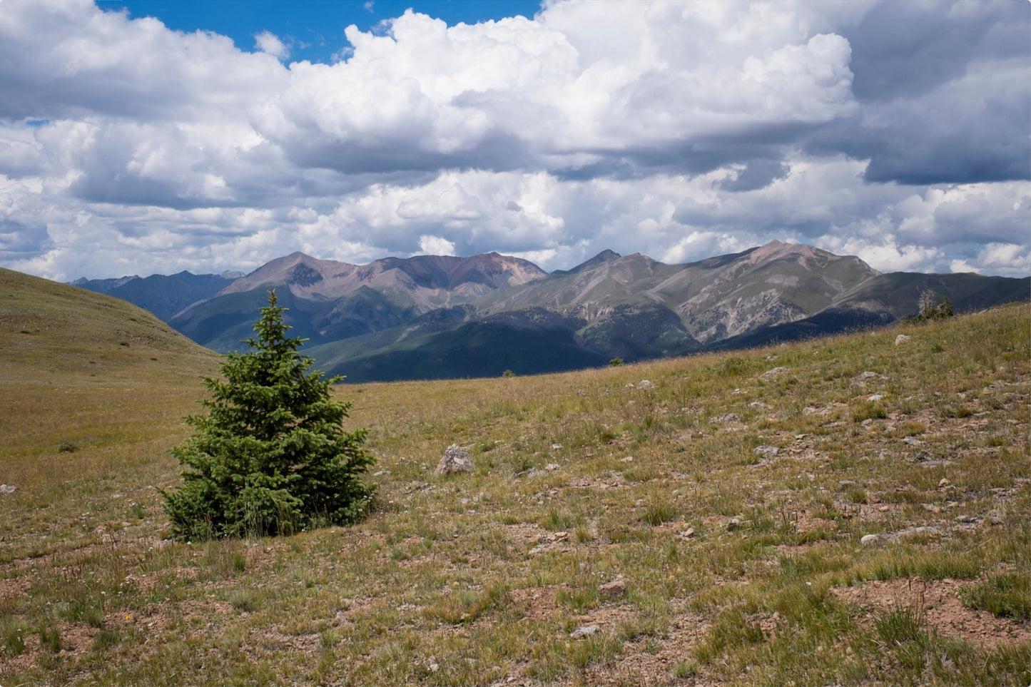 Evergreen Views