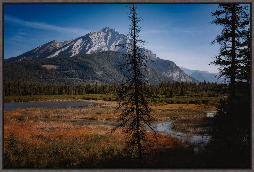 Alberta Wilderness Scene II
