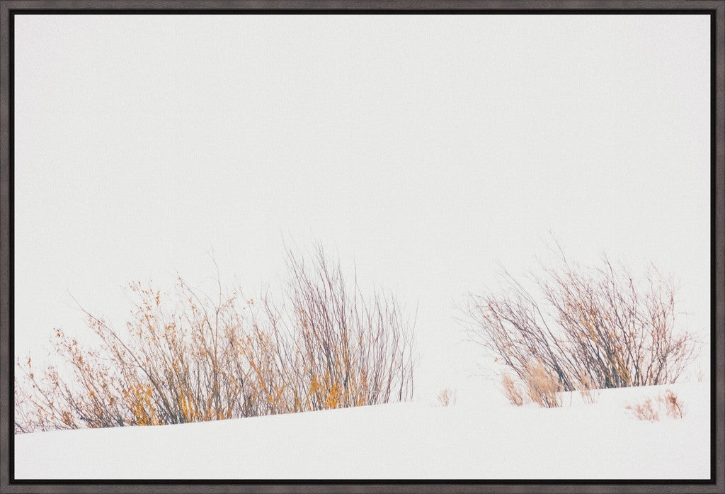 Fire & Snow