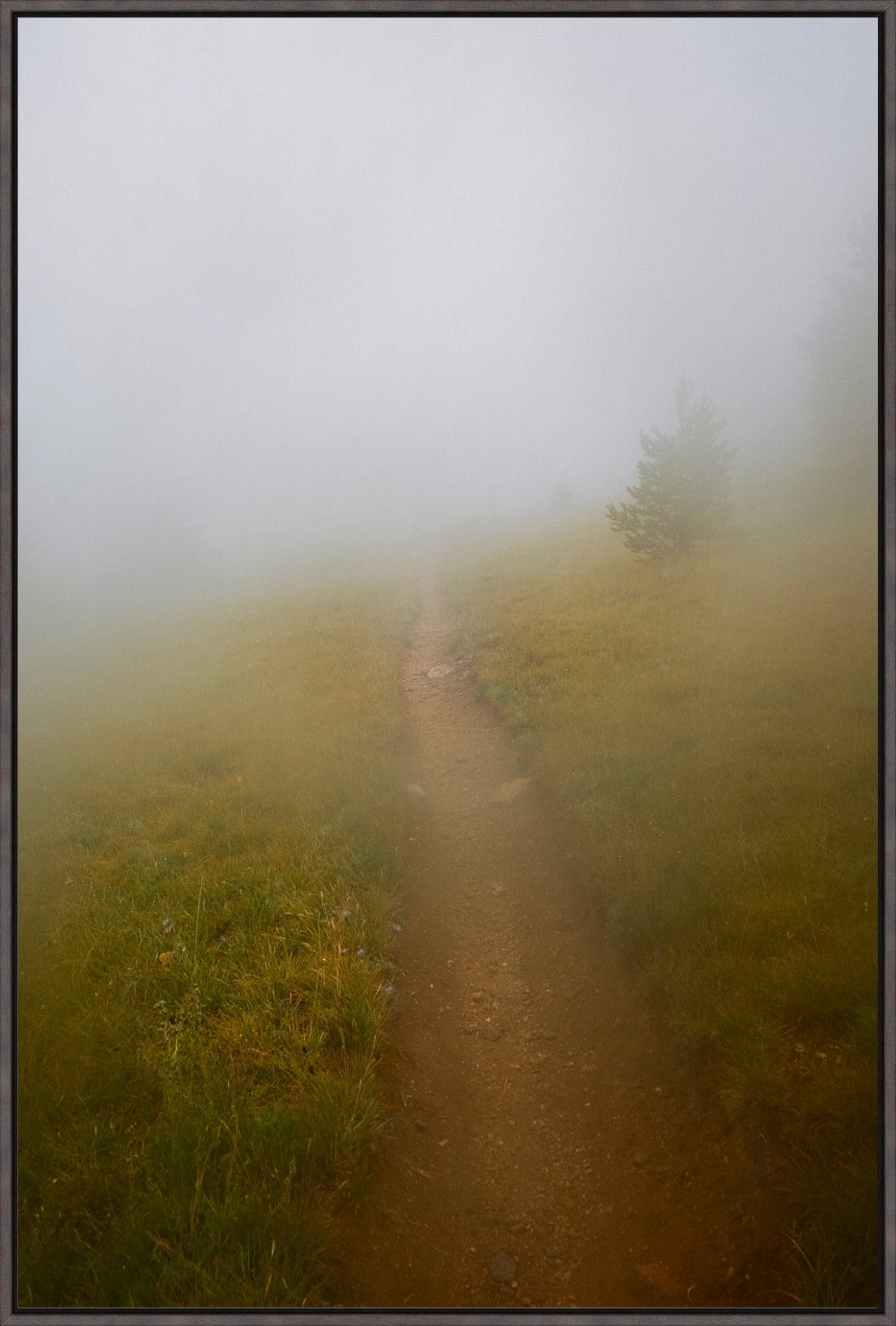 Late August Fog