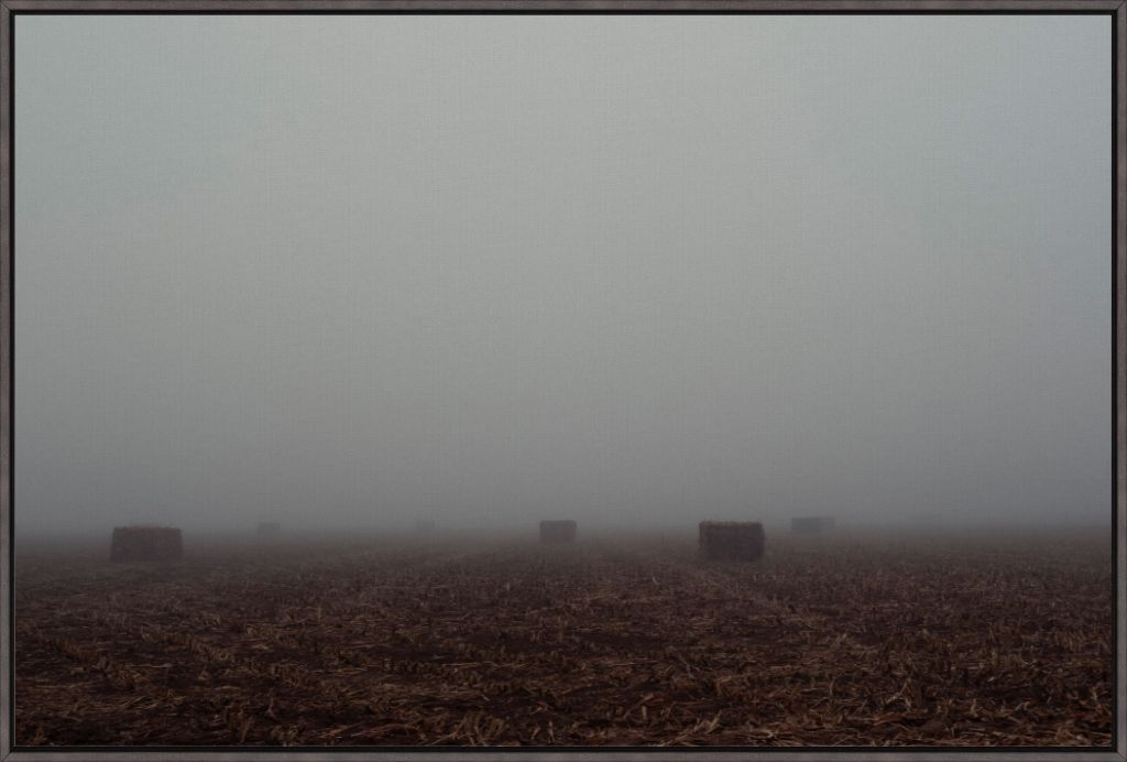 West Texas Winter Fog - 4