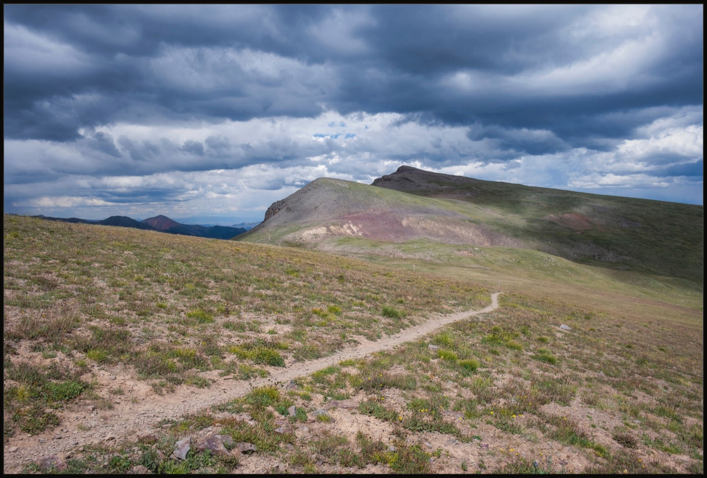 A Path Forward