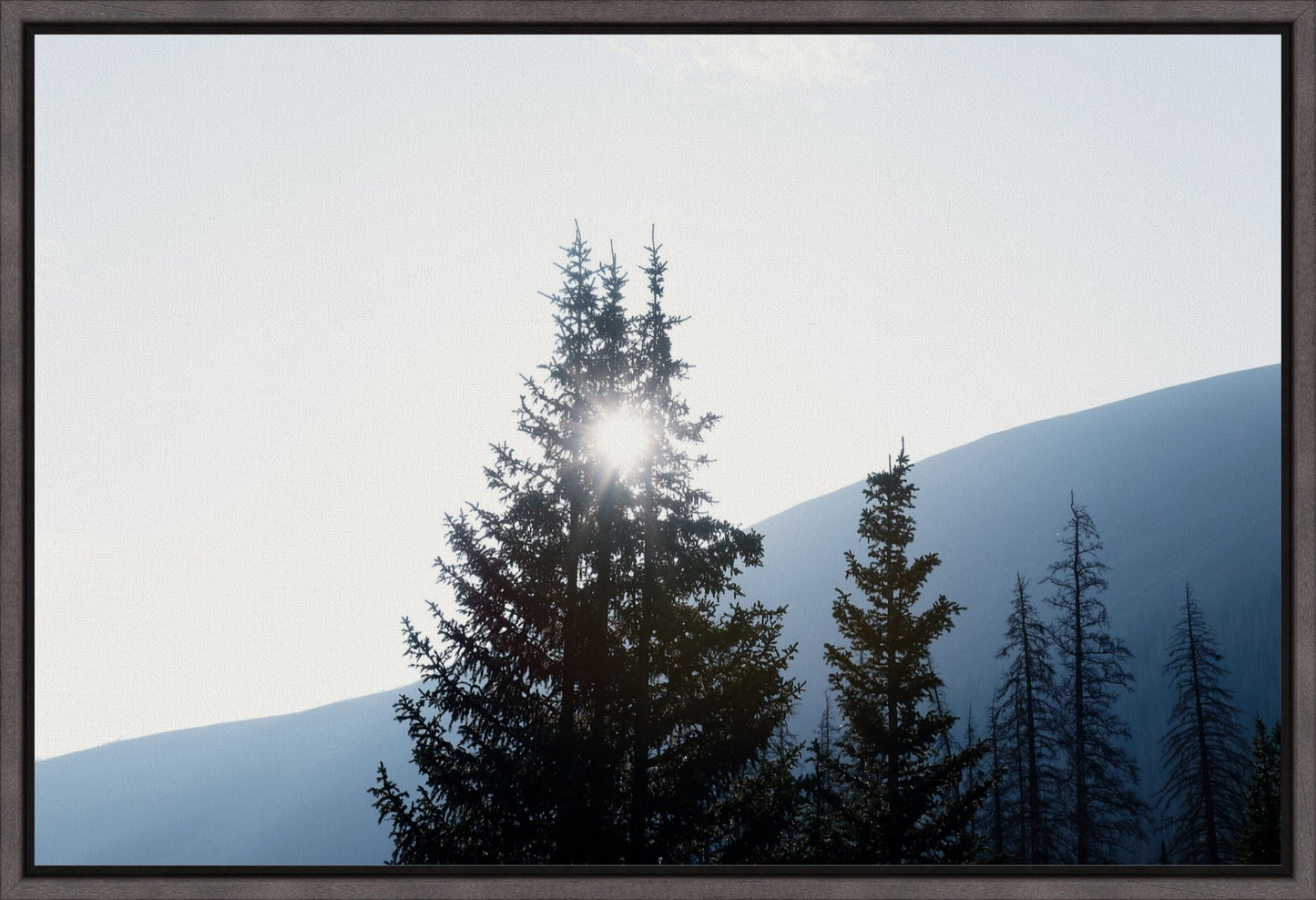 Angles of Light