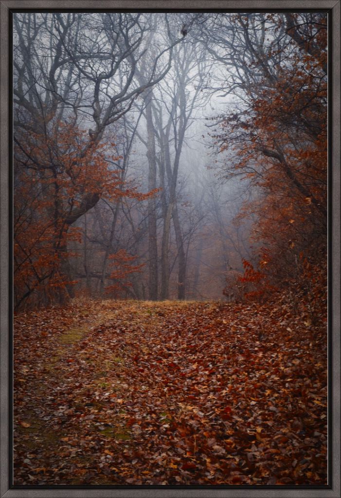 NWMO FOG 03