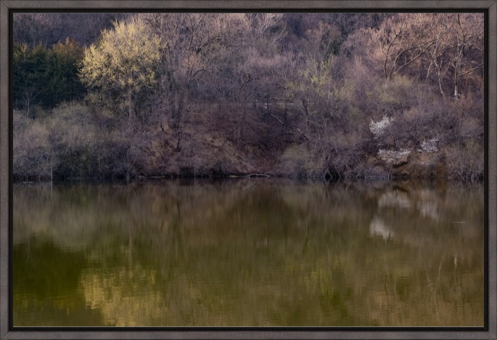 Dogwood Reflections II