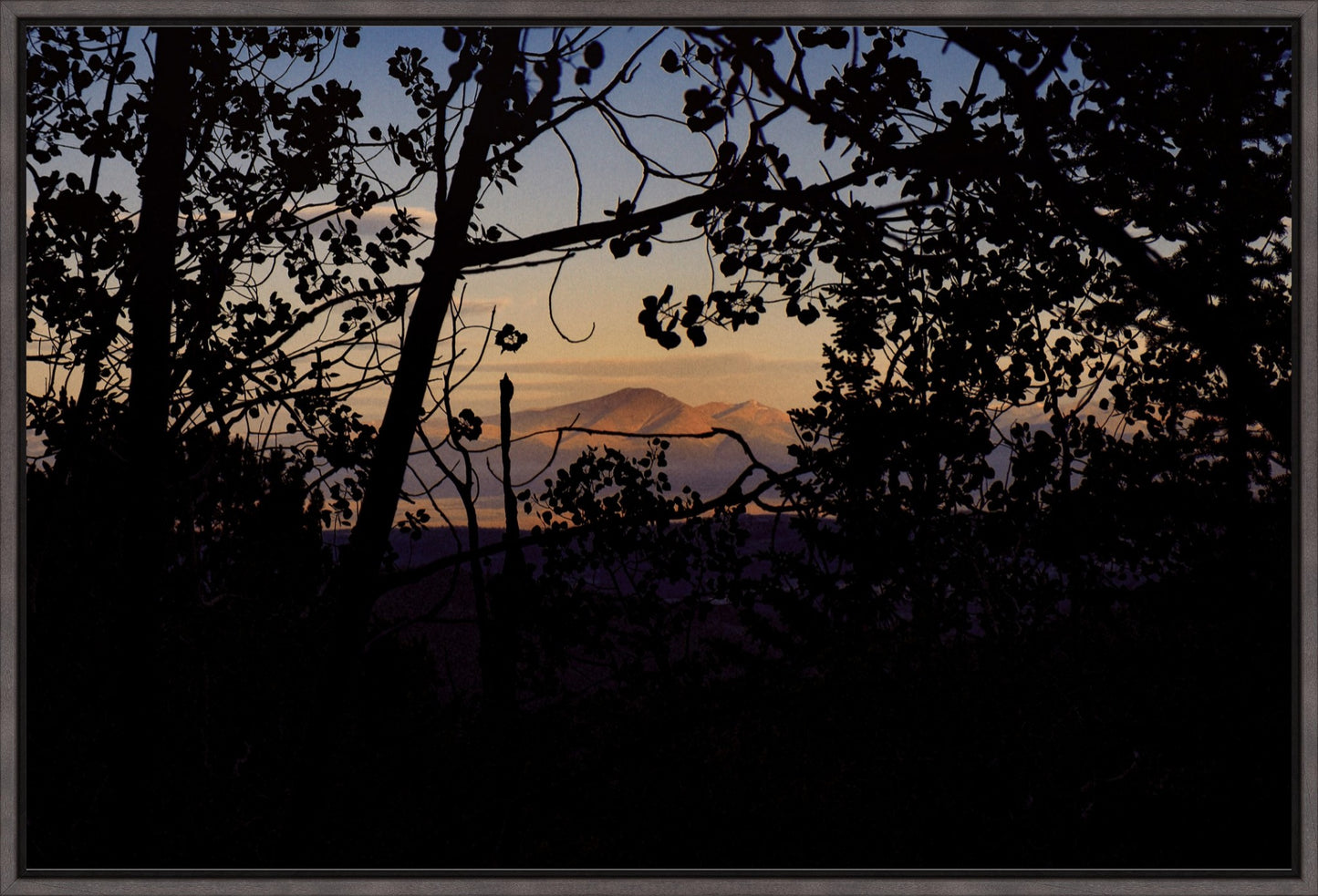Afternoon Golden Light