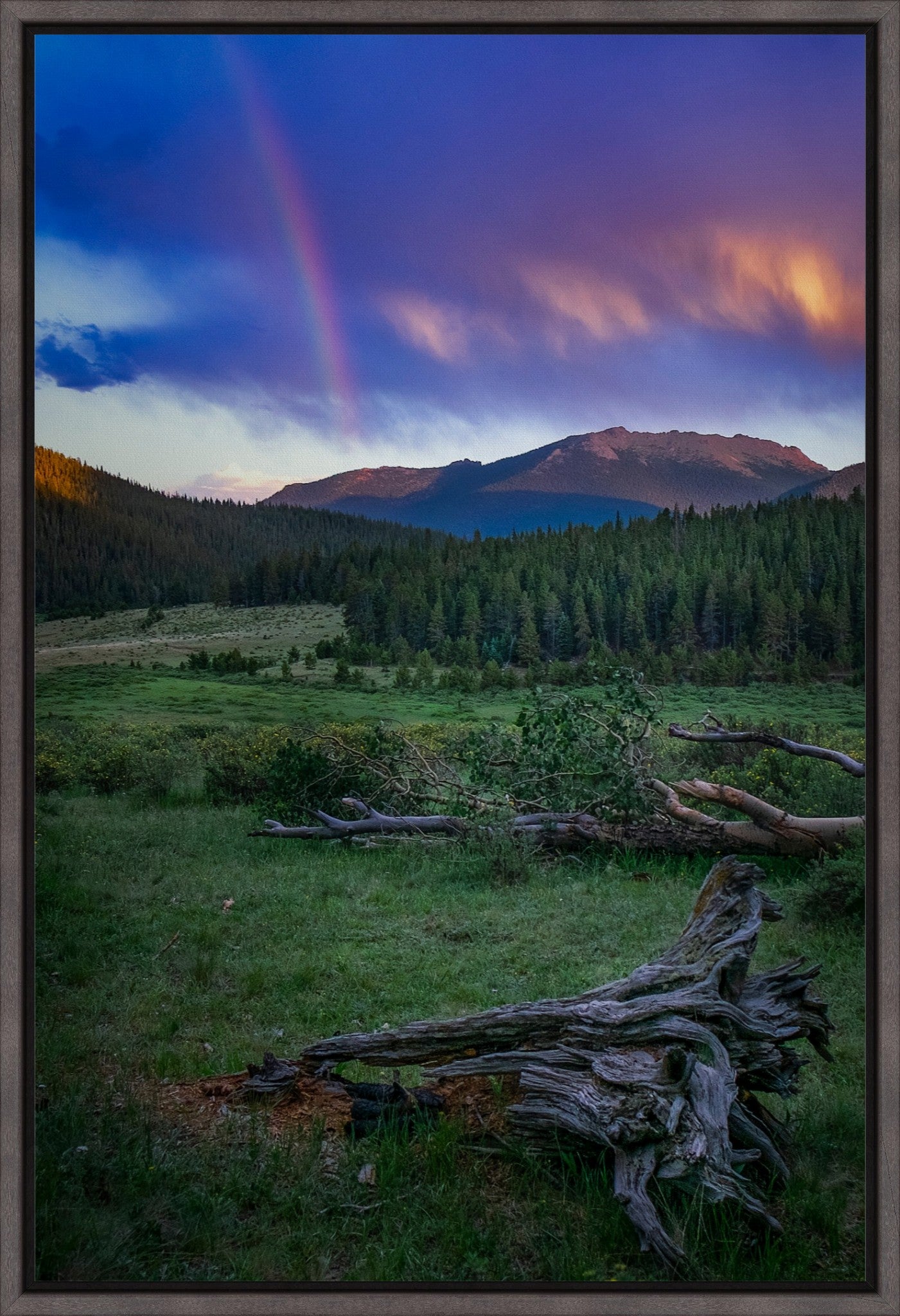 Rainbow on the Mountain IV