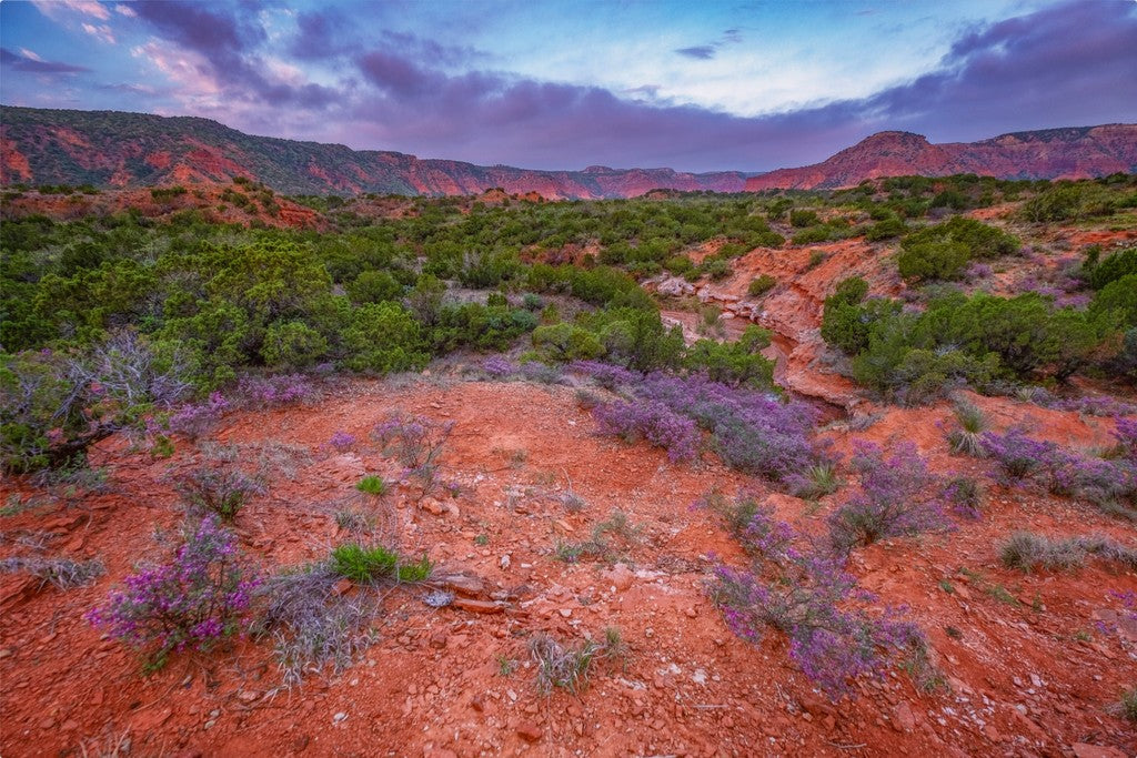 Caprock Sunrise