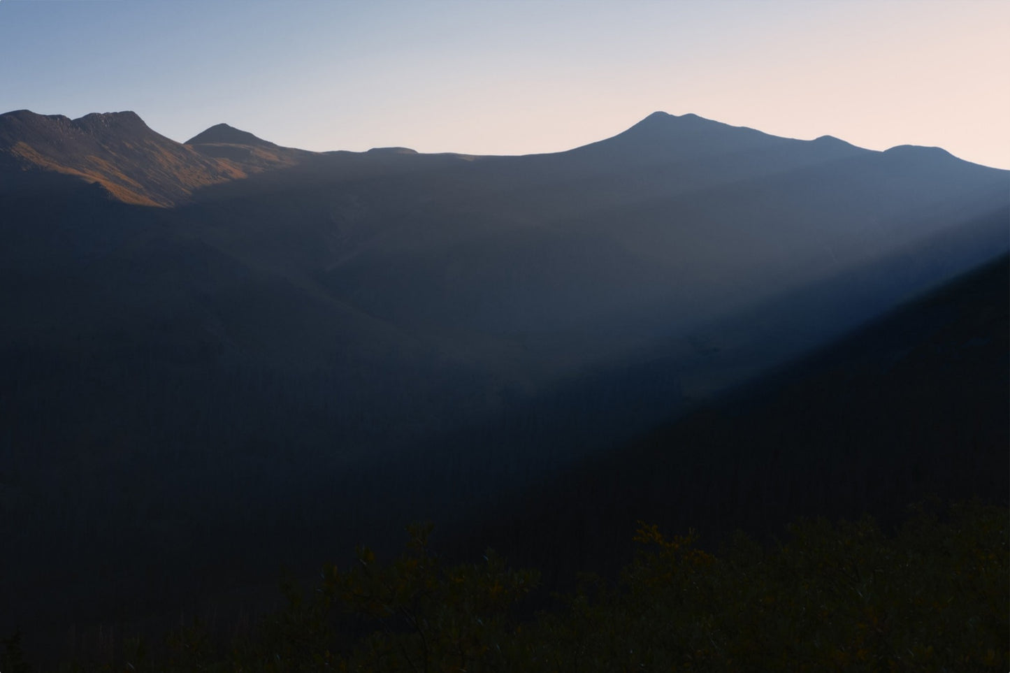 Soft Morning Light