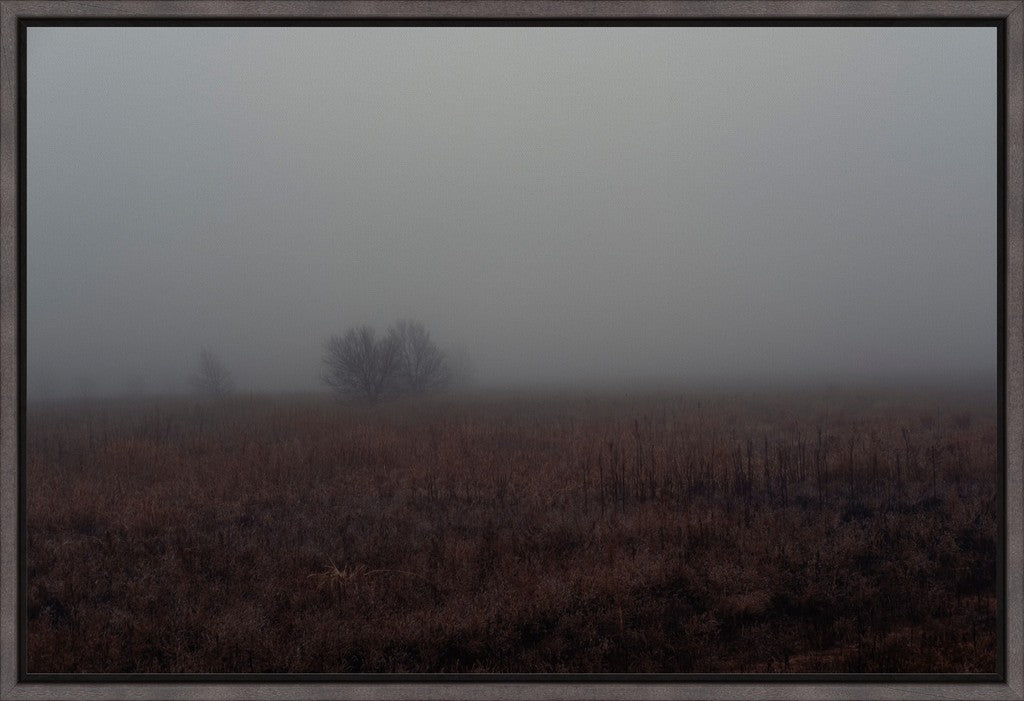West Texas Winter Fog - 3