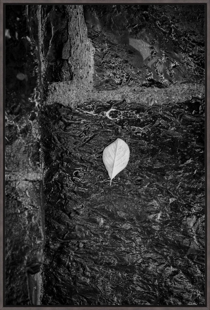 Leaf on Stone B/W