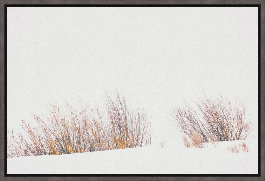 Fire & Snow