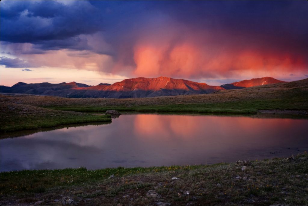 After the Hail Storm II