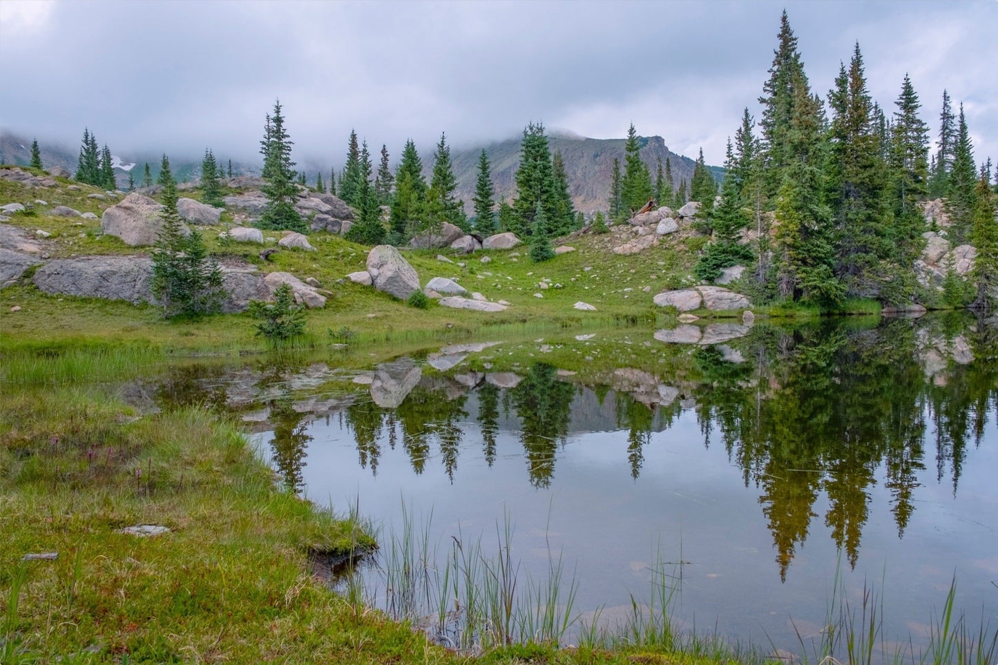 Trail Reflections